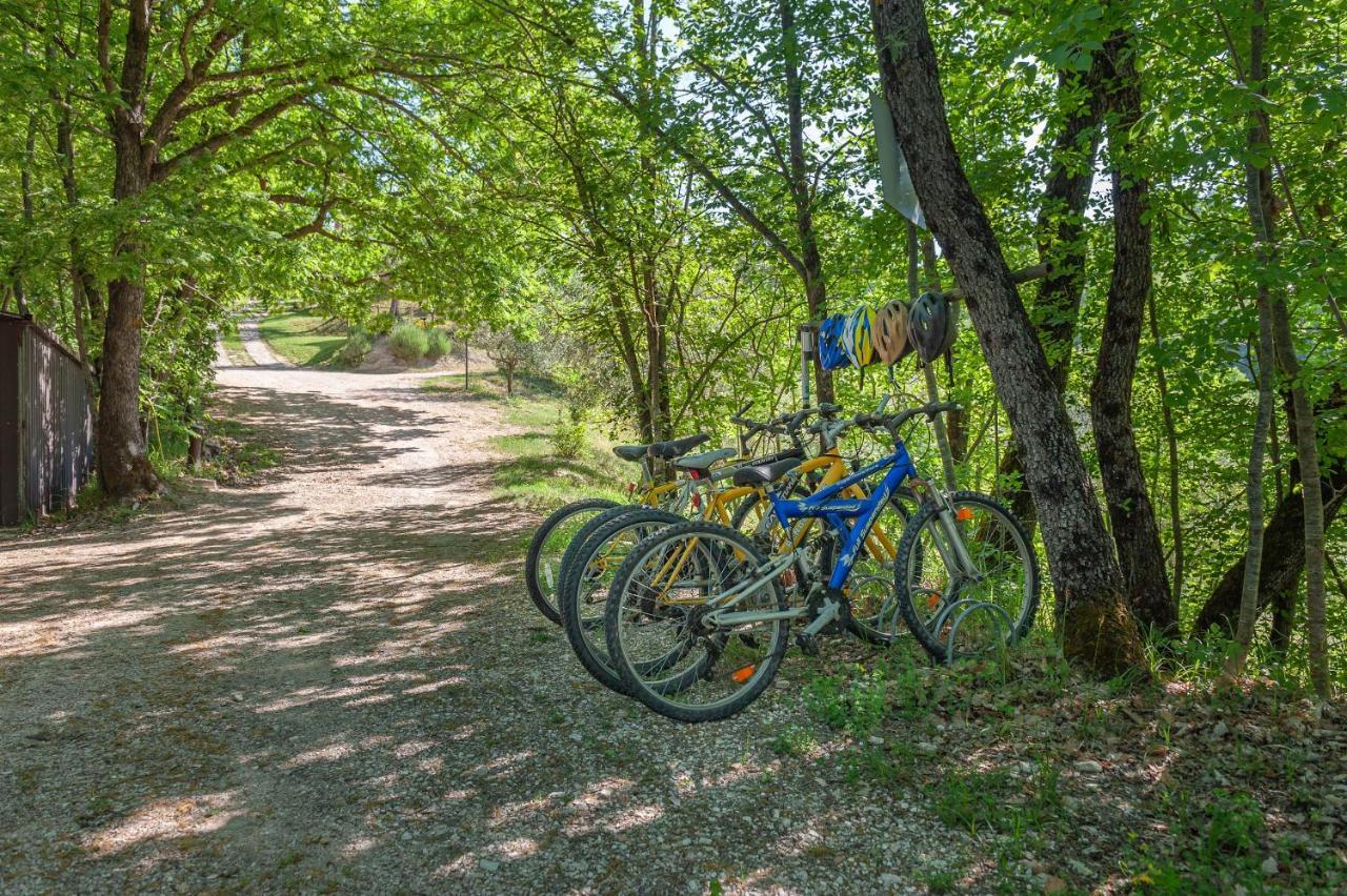 Agriturismo Le Dolci Colline Valfabbrica Экстерьер фото